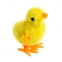 PINTINHO À CORDA DE PLÁSTICO 15CM AMARELO