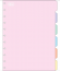 DIVISÓRIA PARA CADERNO TILIDISCO - COLEGIAL